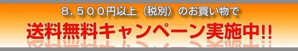 5000円以上送料無料